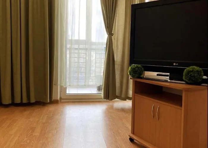 Luxury And Comfortable Apartment